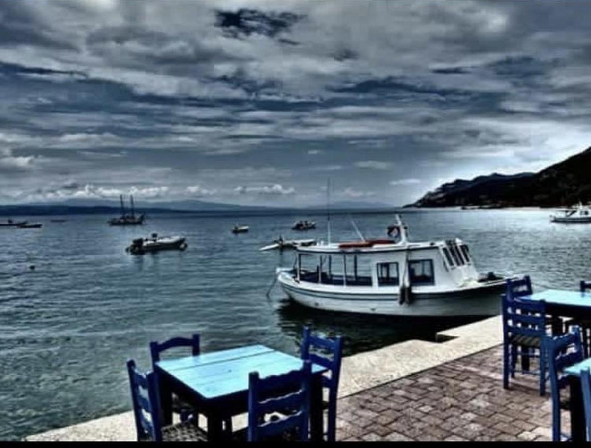 Appartement Harmony Seaside Pelion à Platanias  Extérieur photo