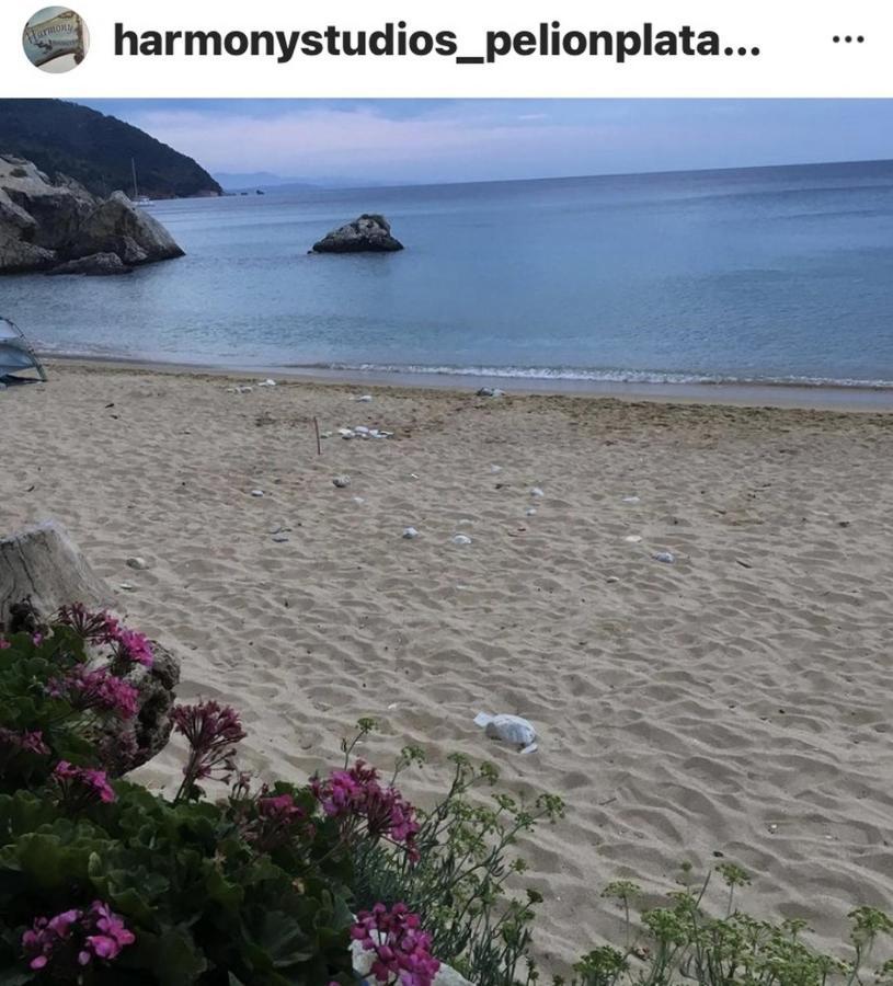 Appartement Harmony Seaside Pelion à Platanias  Extérieur photo
